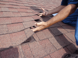 Roof Inspection