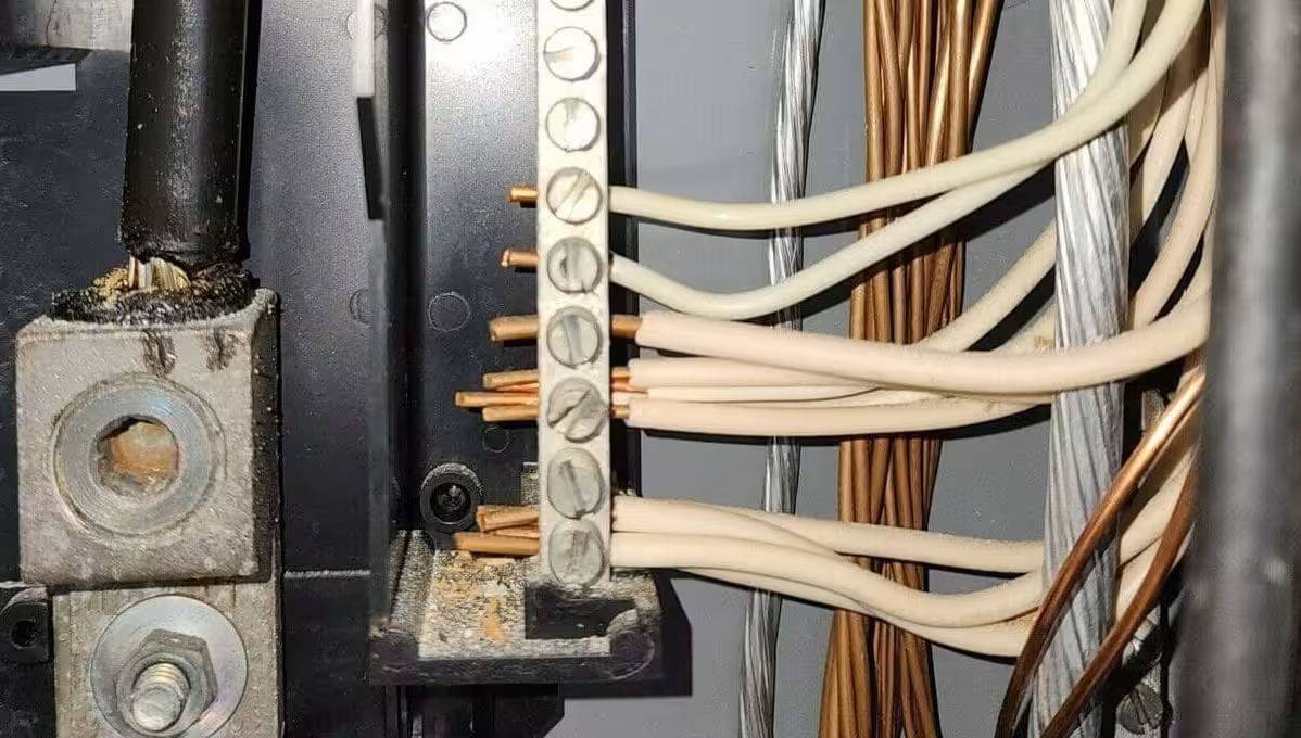 Double Lugged Neutrals