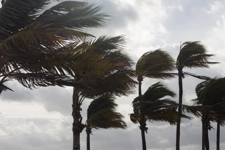 wind mitigation points for FL homes