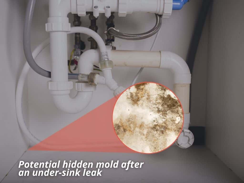 example of a potential complication from a kitchen sink plumbing defect
