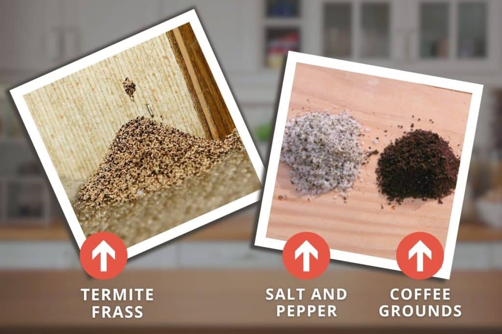 identifying termite frass