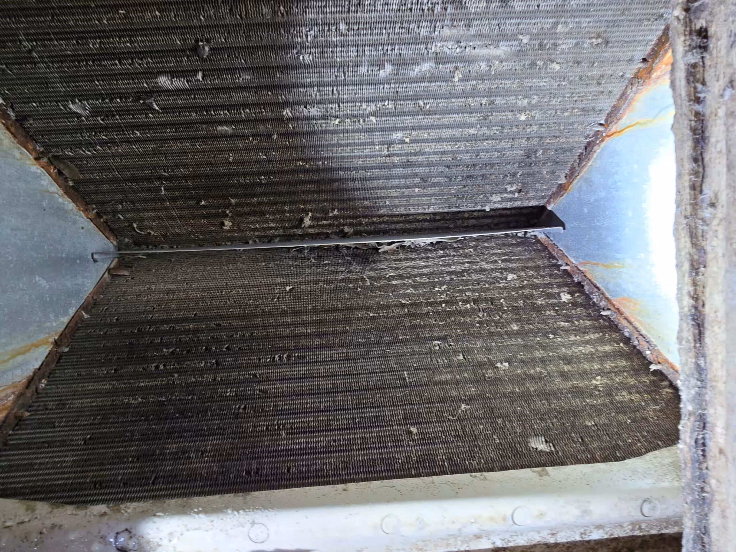 dirty hvac coil