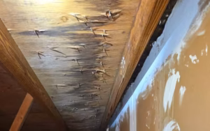 Roof Leak