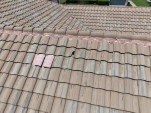 Broken clay tile